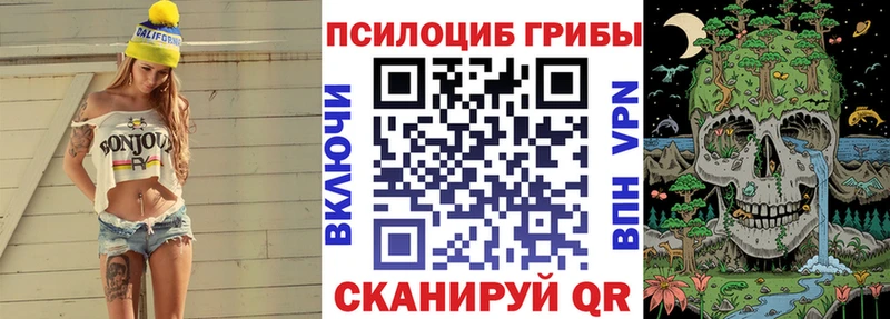наркошоп  Агрыз  Галлюциногенные грибы прущие грибы 