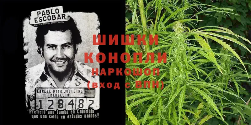 Бошки Шишки SATIVA & INDICA  MEGA как войти  дарк нет какой сайт  Агрыз 